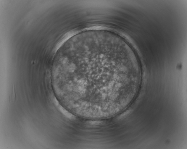 X0000112151425200908281330