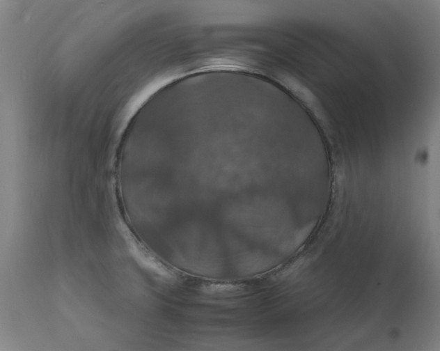 X0000112151427200908281330