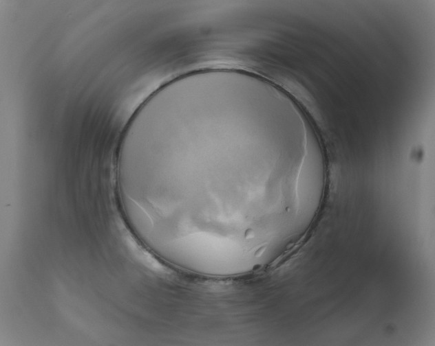 X0000112151428200908281330