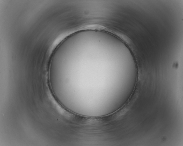 X0000112151430200908281330