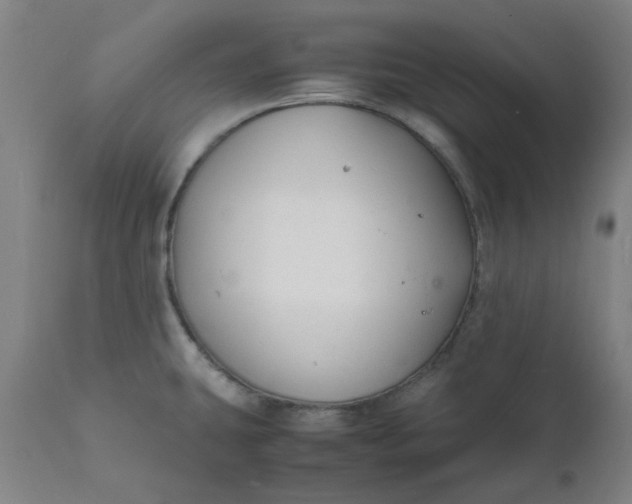 X0000112151431200908281330