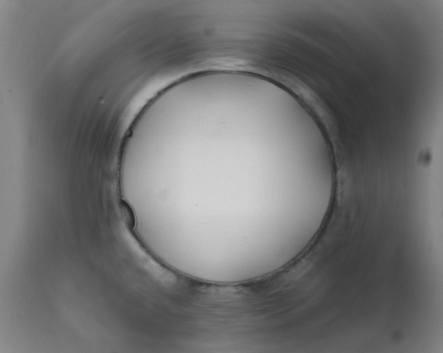 X0000112151432200908281330