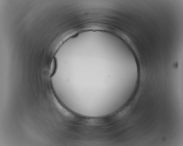X0000112151433200908281330