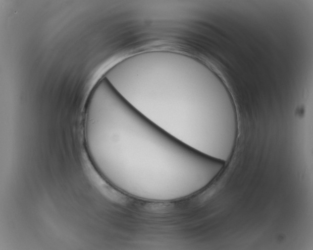 X0000112151434200908281330