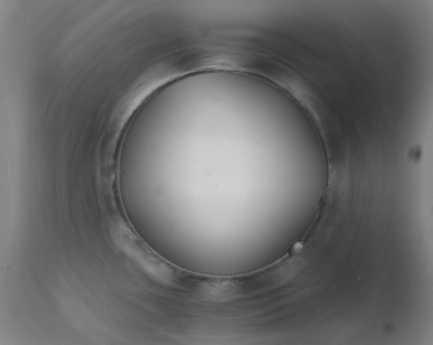 X0000112151435200908281330
