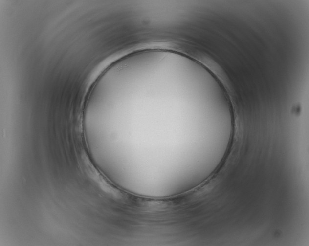 X0000112151436200908281330