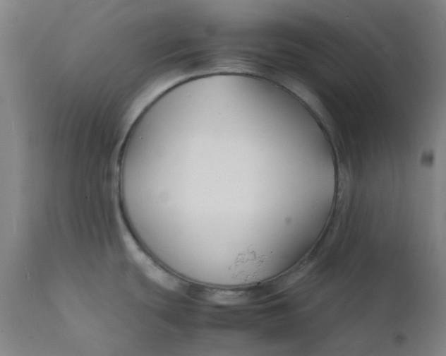 X0000112151439200908281330