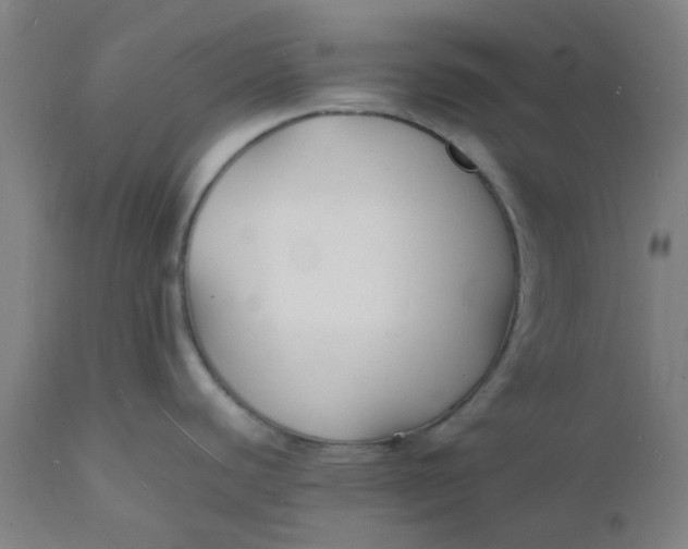 X0000112151440200908281330