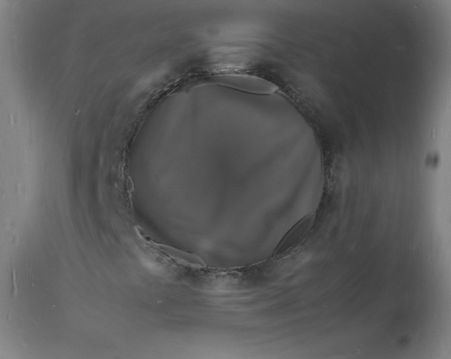 X0000112151441200908281329