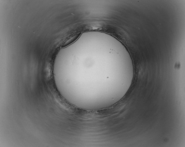 X0000112151442200908281329