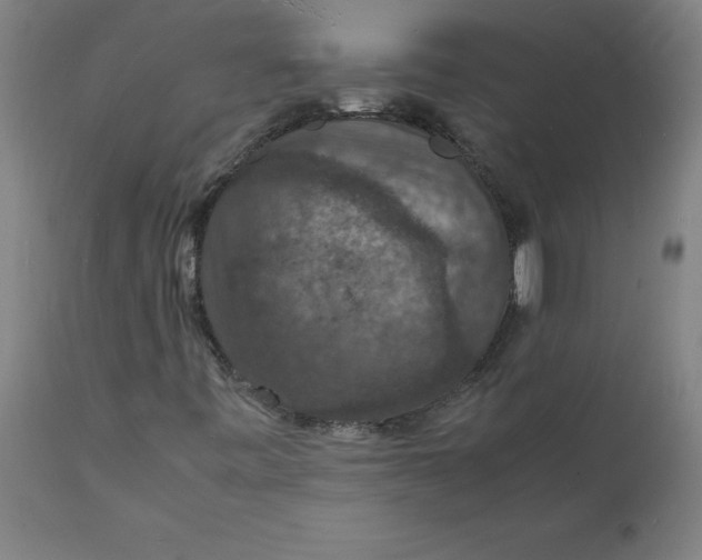 X0000112151443200908281329