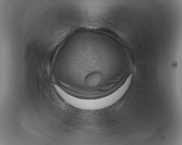 X0000112151444200908281329