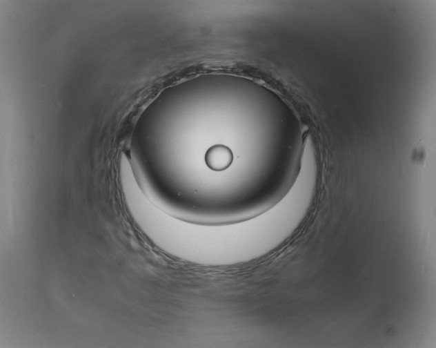 X0000112151445200908281329