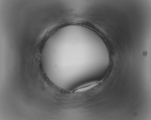 X0000112151447200908281329