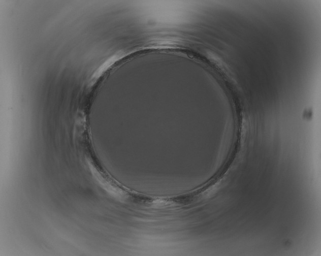 X0000112151449200908281329