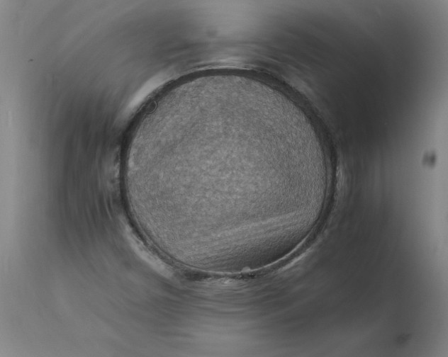 X0000112151450200908281329