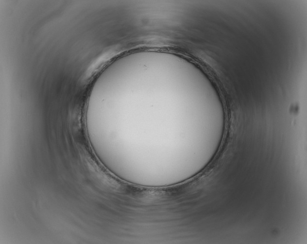 X0000112151451200908281329