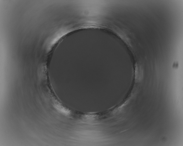 X0000112151453200908281329