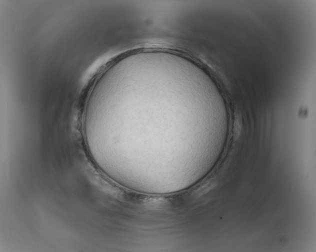 X0000112151454200908281329