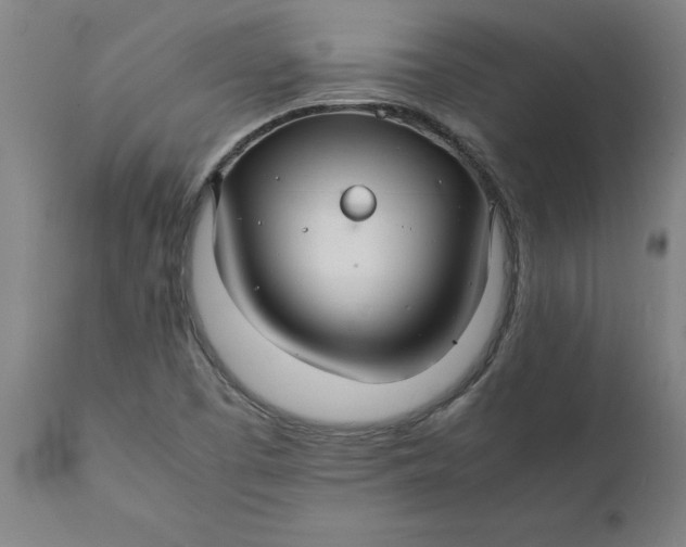 X0000112151457200908281329