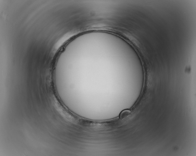 X0000112151458200908281329