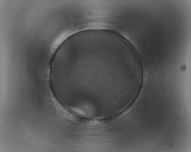 X0000112151459200908281329