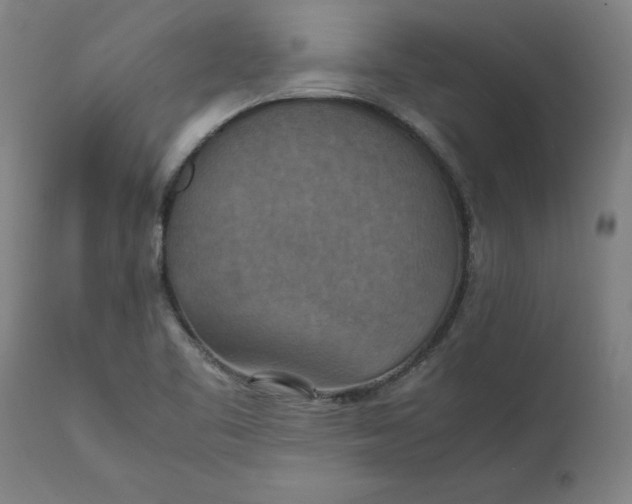 X0000112151461200908281329