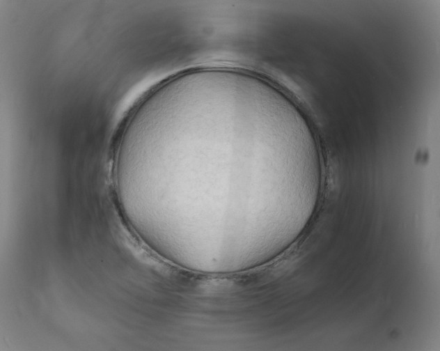 X0000112151462200908281329