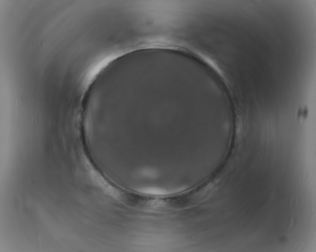 X0000112151463200908281329