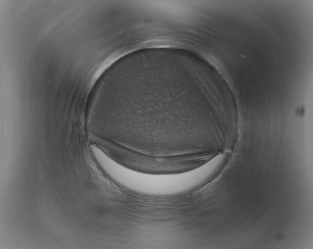 X0000112151465200908281329