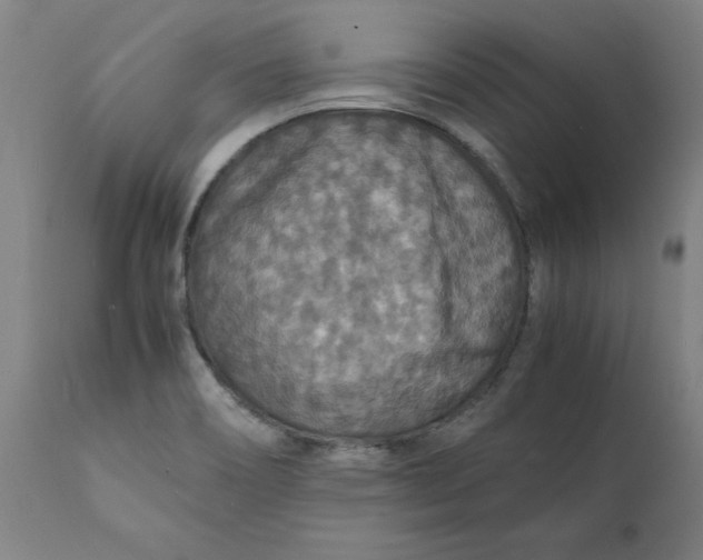 X0000112151466200908281329