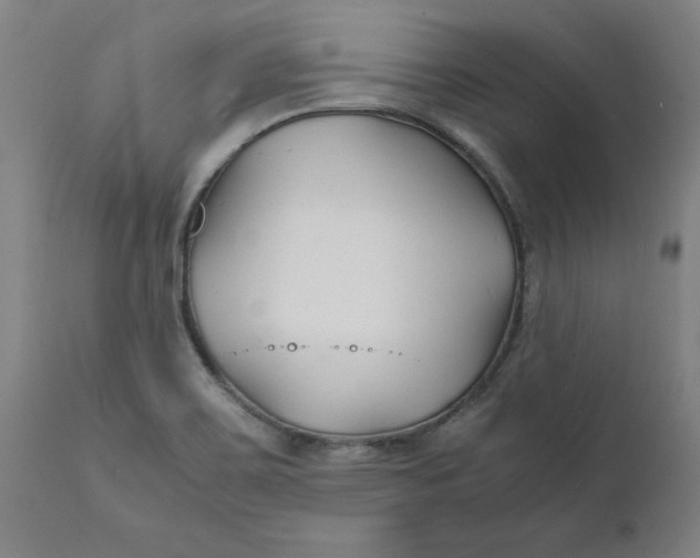 X0000112151467200908281329