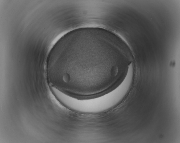 X0000112151468200908281329