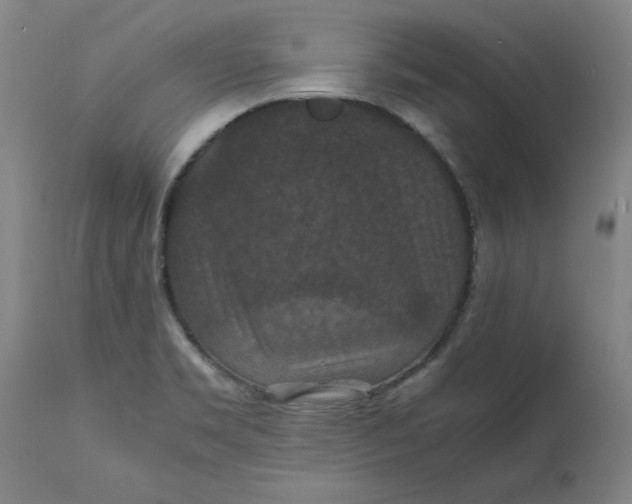 X0000112151469200908281329