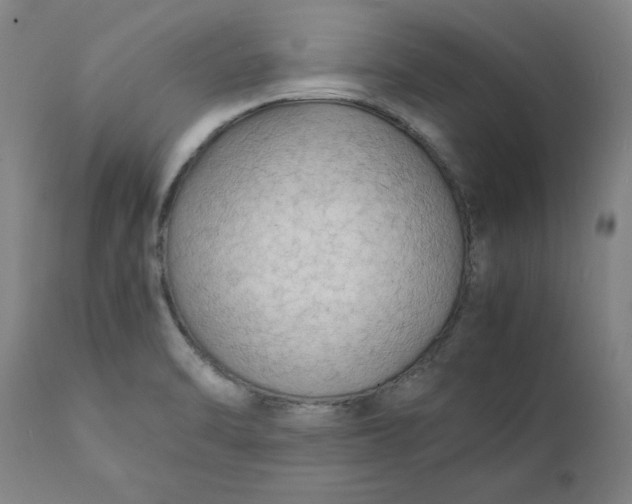 X0000112151470200908281329