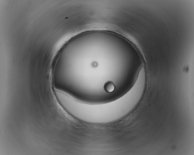 X0000112151472200908281329
