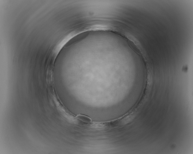 X0000112151473200908281329