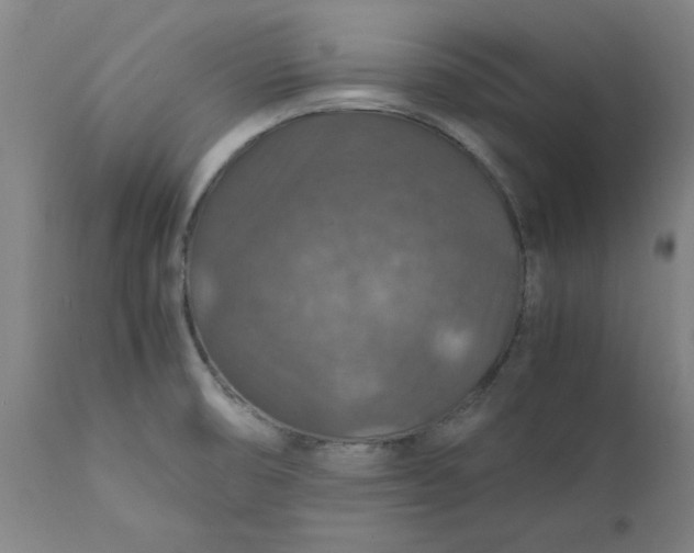 X0000112151474200908281329