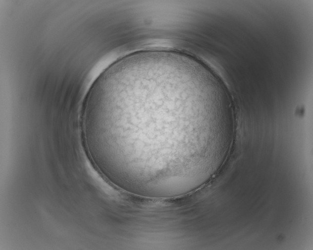 X0000112151475200908281329
