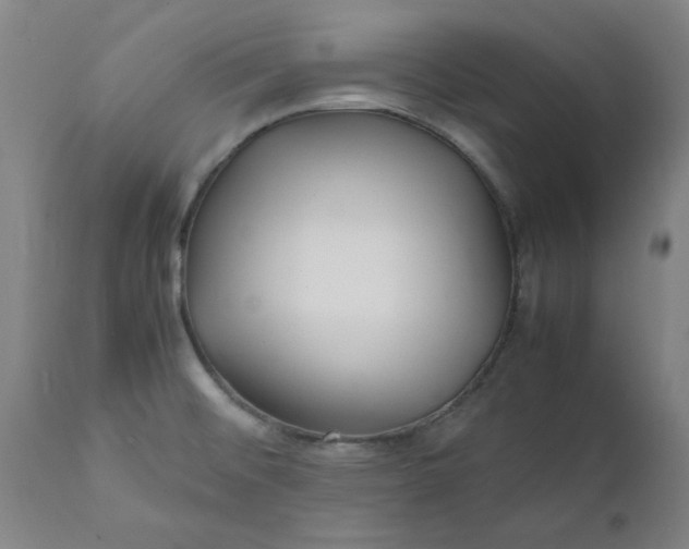 X0000112151476200908281329