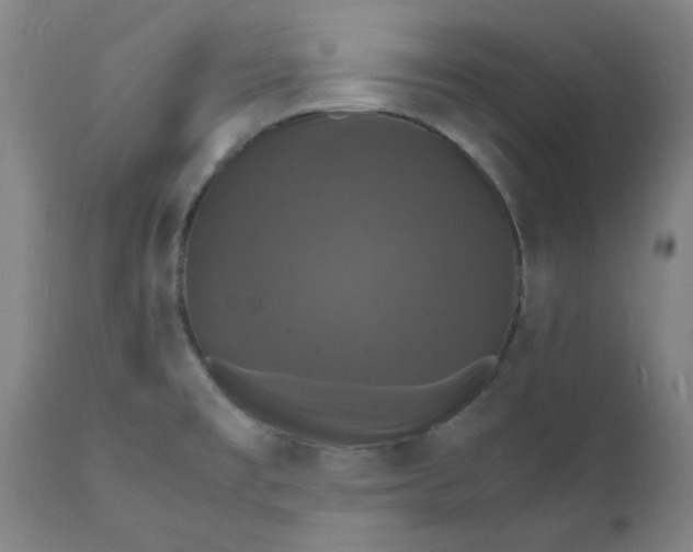 X0000112151477200908281329