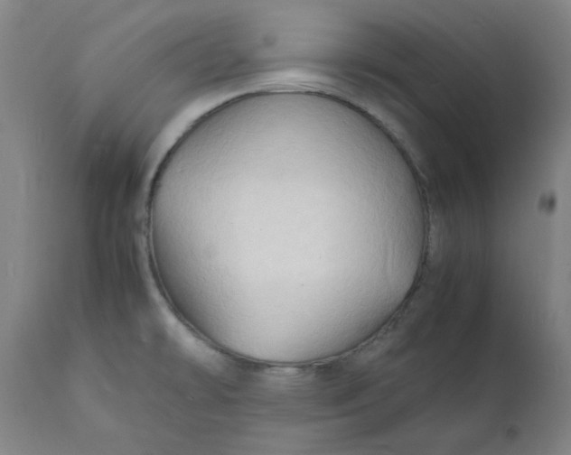 X0000112151478200908281329