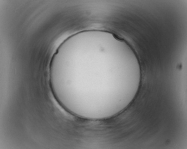 X0000112151479200908281329