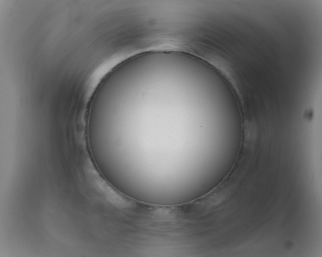 X0000112151480200908281329