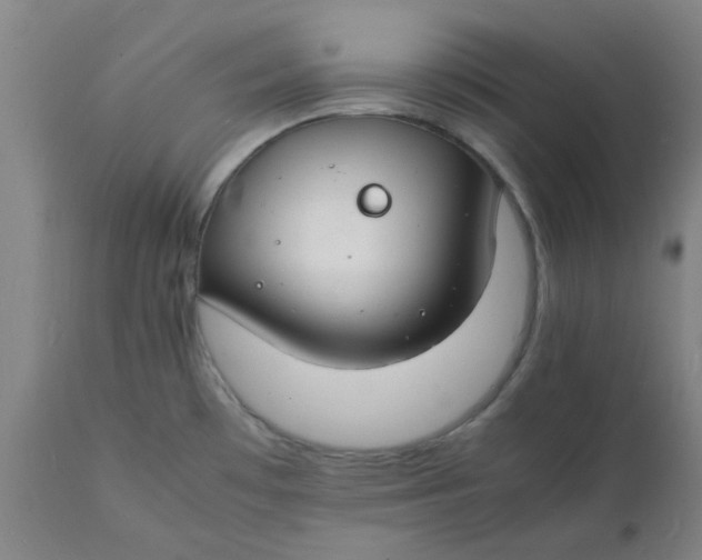X0000112151481200908281329