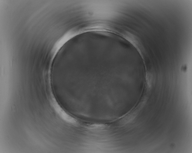 X0000112151482200908281328