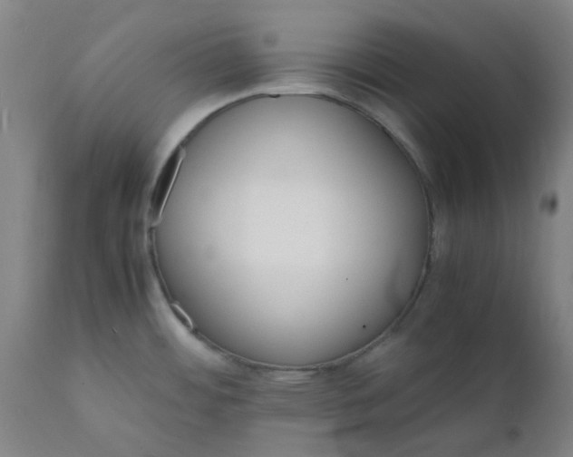 X0000112151484200908281328