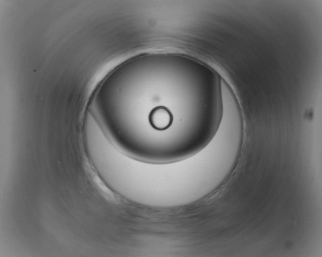 X0000112151485200908281328