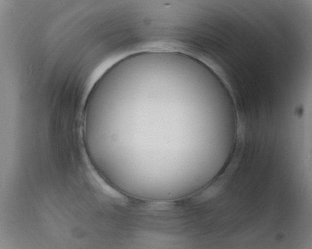 X0000112151486200908281328