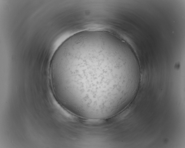 X0000112151487200908281328